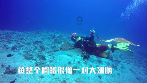 丧尸派对哪些丧尸值得培养-助力你找到答案的有问必答平台